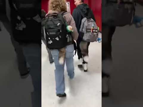 pulling furry tails part 1