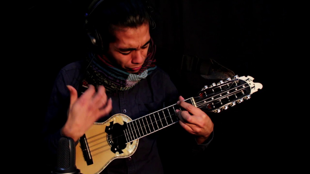 Puma Pungo - Charango Juan Garrido