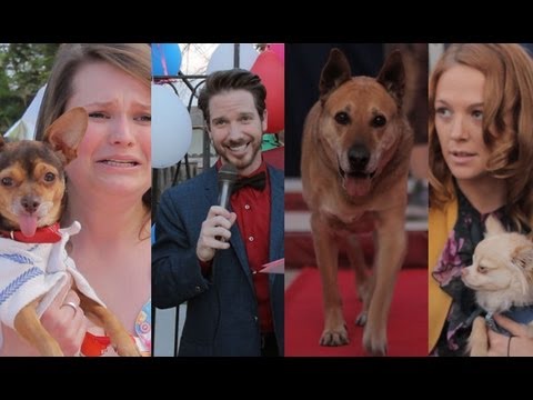 Puppies And Tiaras (Toddlers & Tiaras Parody) - Dog Beauty Pageant Short Film
