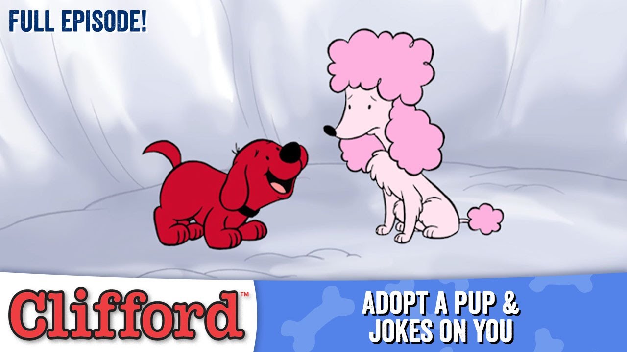 Puppy Days 🐶🐩 - Adopt A Pup | Jokes on You (HD - Full Episodes)