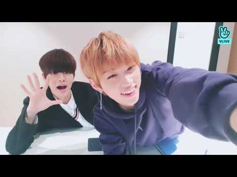 PUPPYCAT SCHOOL Felix Seungmin 1.Bölüm TÜRKÇE ALTYAZILI