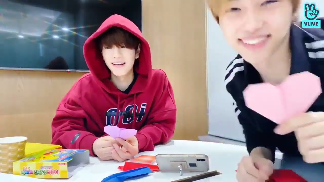 PUPPYCAT SCHOOL Felix Seungmin 2.BÖLÜM TÜRKÇE ALTYAZILI