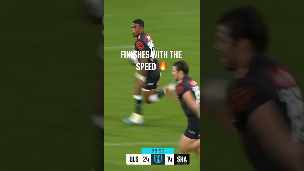 Pure speed from Grant Williams 💨 #sharks #rugby #springboks