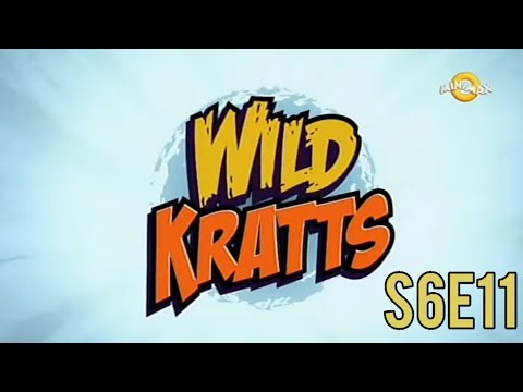 Pustolovine sa Braćom Kret Raža Koja Nestaje