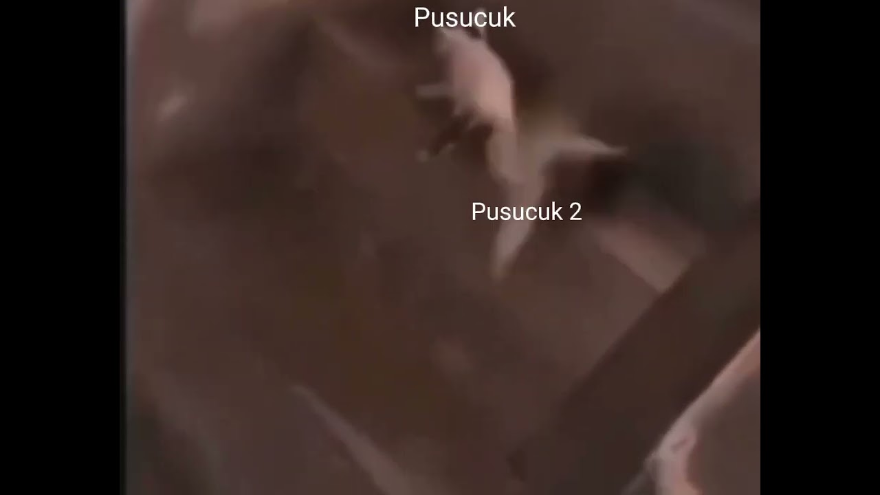 Pusucuk 2ye bakın kskskks