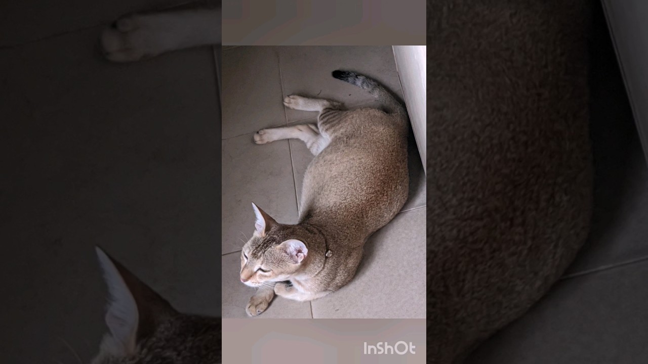 Pusuni🙀☠️💀👻👽