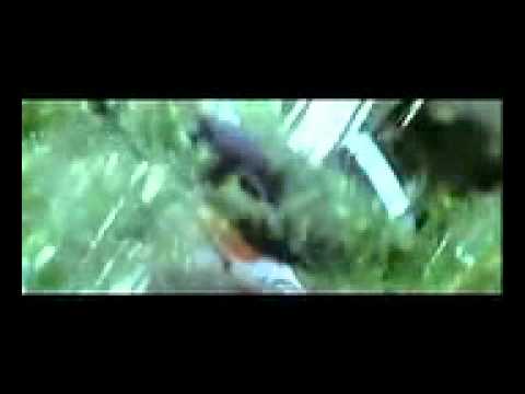 pyar ki ek kahani - krrish.mp4
