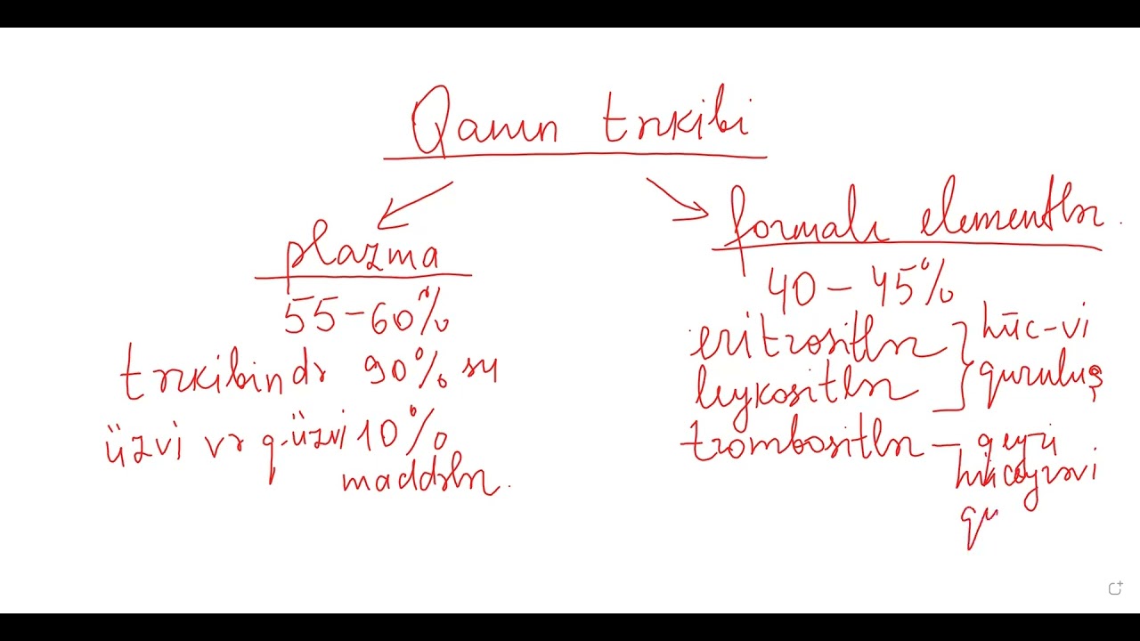 Qan-damar sistemi. Oktyabr qrupu. dərs izahı. MİQ hazırlığı. Əlaqə: 055-634-73-41