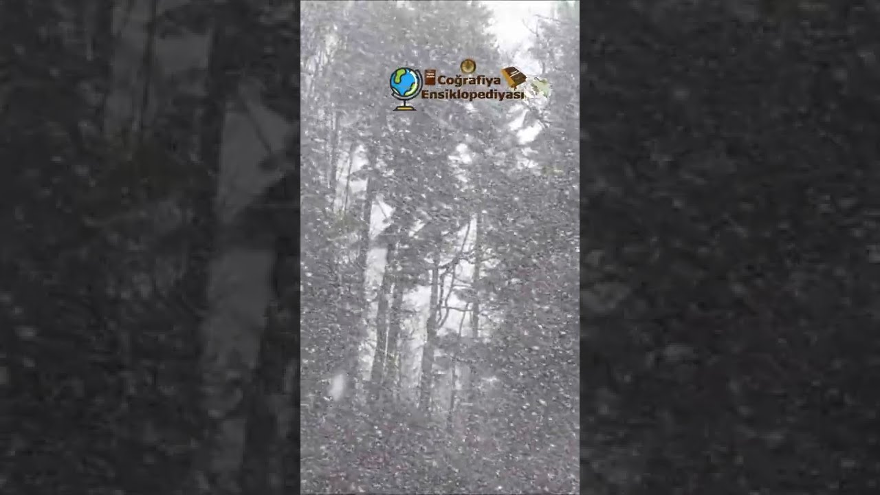 Qar Yağışı Qış Snow Winter Снег Зима #Shorts