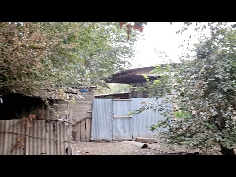 Qarabağ Qazisi Beyləqan rayonunda baxımsız qaldı