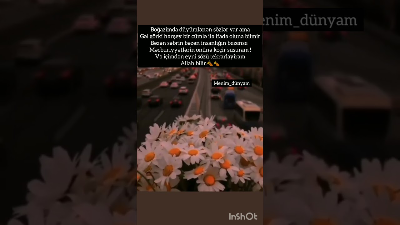 qemli videolar menali statuslar