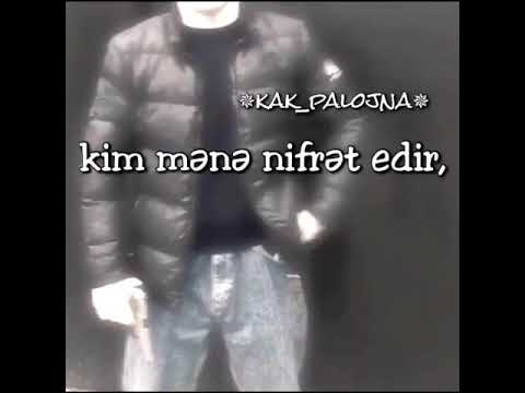 Qeseng paylasim