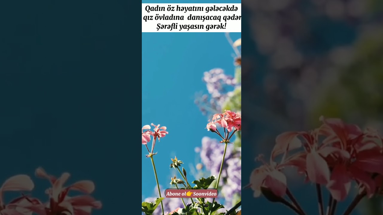 Qiz övladina aid statuslar.Anlamli sözler.Qadinlara  aid statuslar.Vatsap durum videolari.Soonvideo
