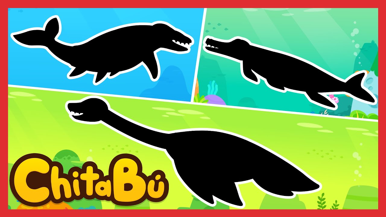 ¿Qué Dinosaurios vivían en el Océano? | Canciones Infantiles | #ChitaBú