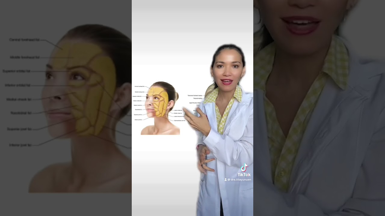 Qué grasa se quita con inyecciones de enzimas?  Si quieres ver otras opciones para eliminar papada⬇️
