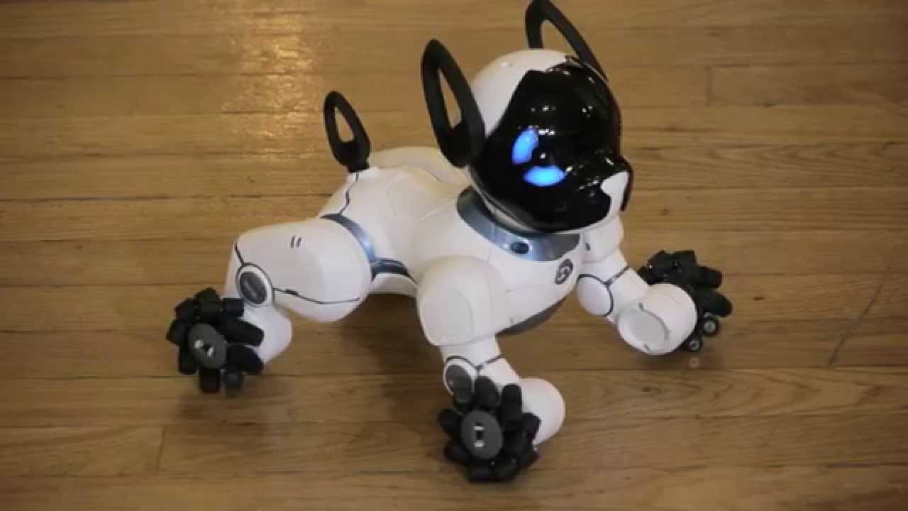 Quadcopter R.E.V. Air and Chip Smart Robot Dog display on BeTerrific!