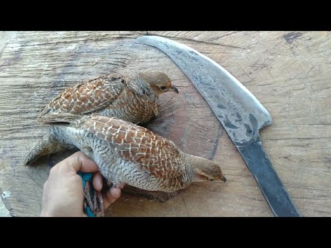 Quail birds cutting full process #allinone #howtocut