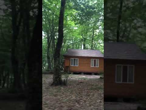 Quba da mese gezintisi masin ile. ( Razovskiy TV)