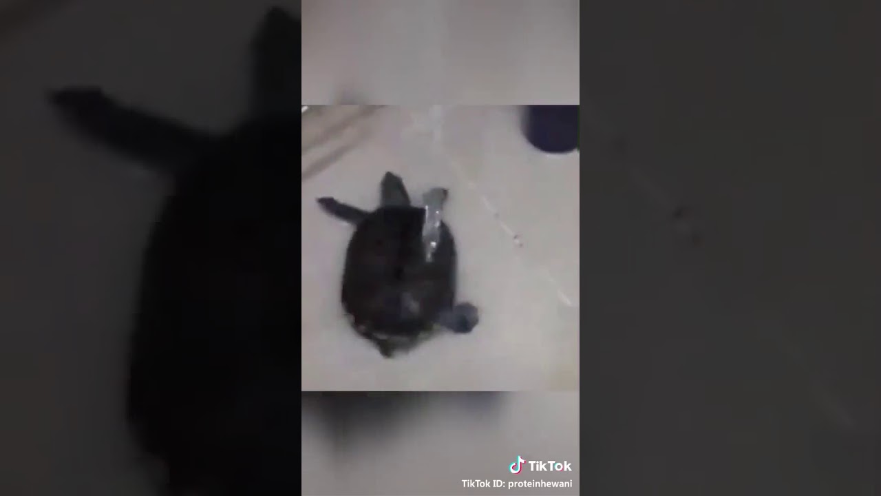 Que banho gostoso