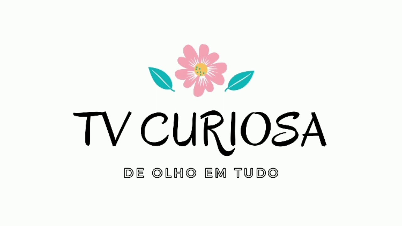 Quem fica melhor de biquíni!? - LORENA TUCCI Vs SOPHIA VALVERDE Vs TABY CARVALHO | TV CURIOSA