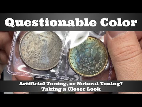 Questionable Color Morgan Dollars - Artificial Toning, or Natural Toning? Taking a Closer Look AT NT