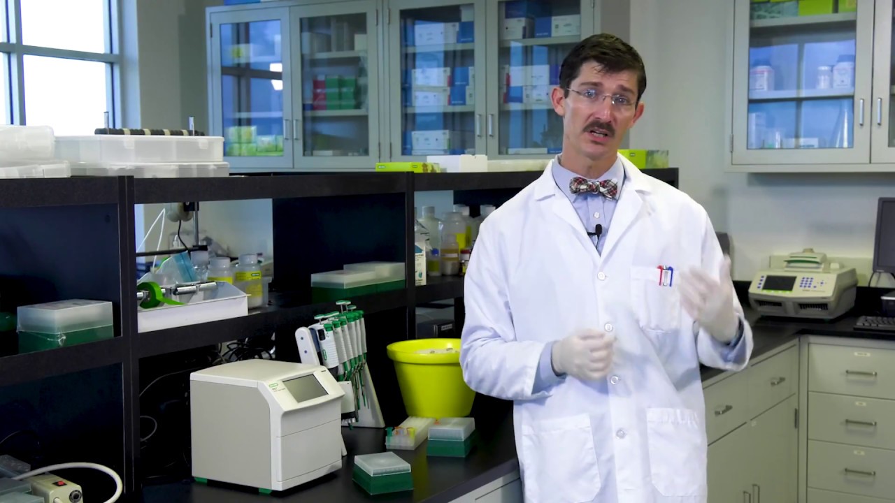 Quickly Start qPCR Runs in the CFX Maestro™ Software