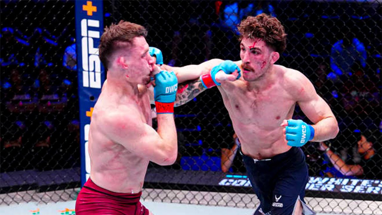 Quillan Salkilld vs Gauge Young Fight Highlights