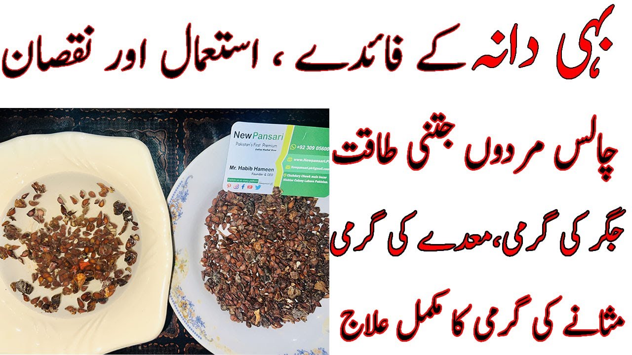 Quince Seeds Benefits Urdu/Hindi | bahi dana ke fayde | bahi dana khane ka tarika | Safarjal Seeds