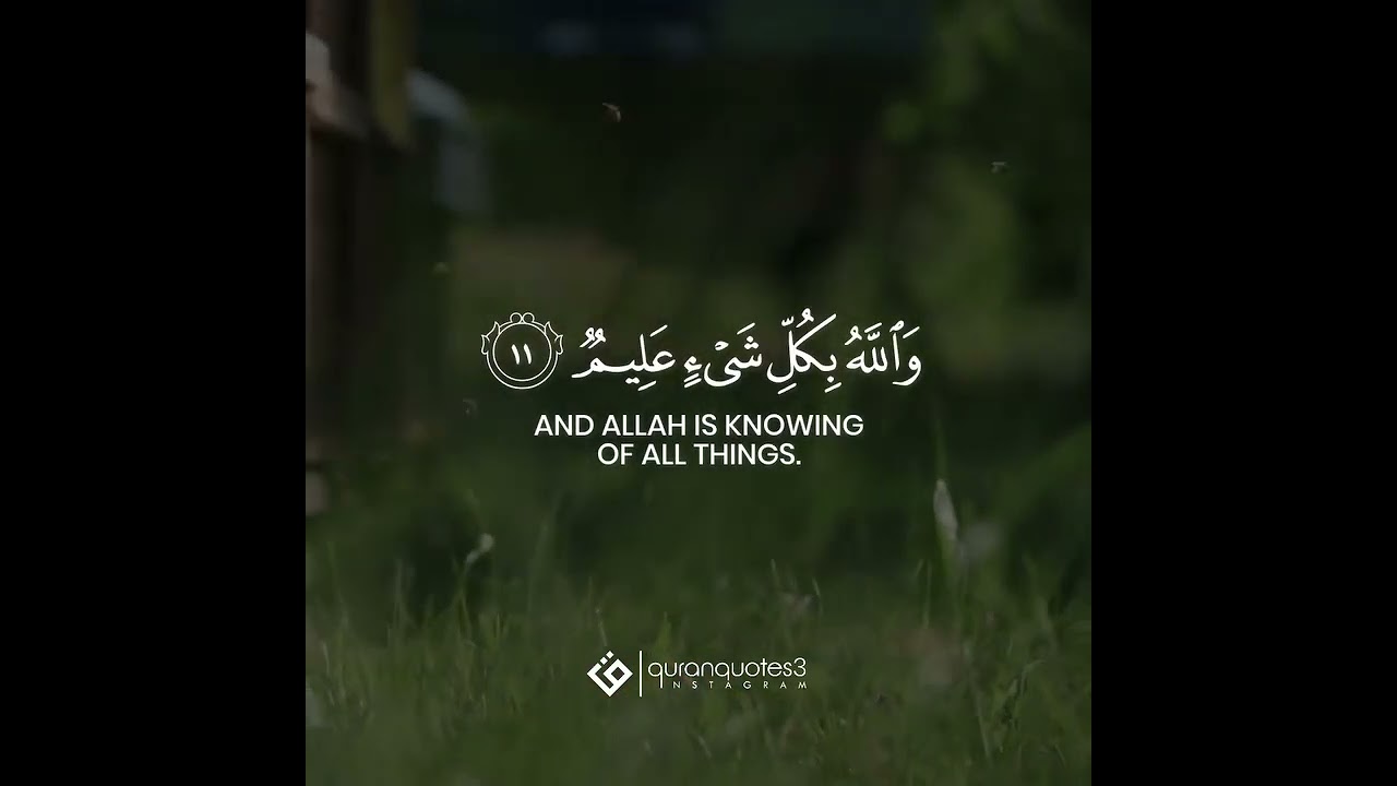 Quran | At-Taghabun | 64:11#Subhanallah #Alhamdulillah #Lailahaillallah #AllahuAkbar