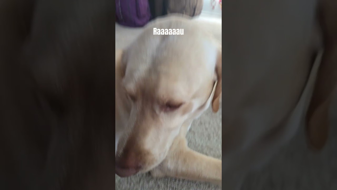Raaaau
