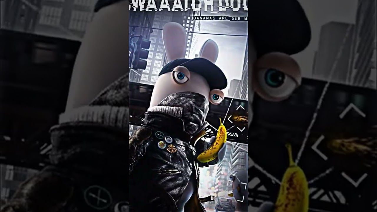 RABBIT INVASION
