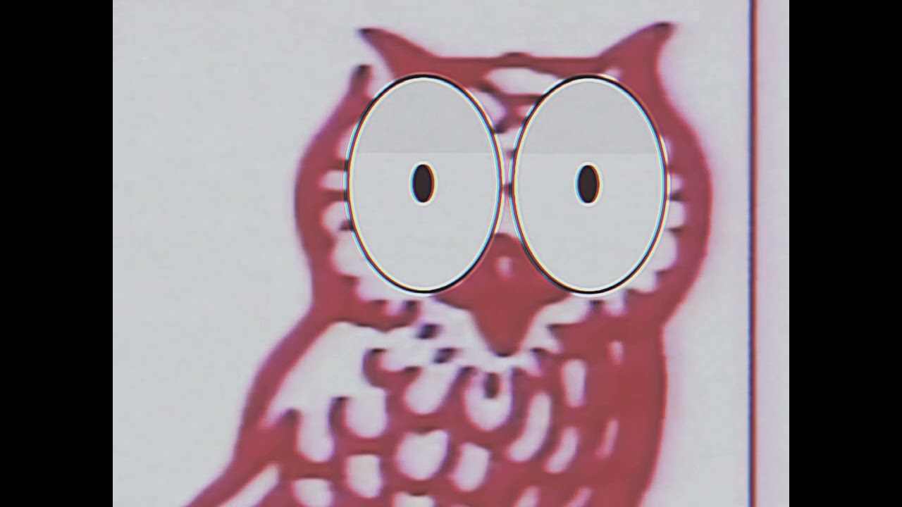 Radical sheep/Owl Communications/YTV (1995, rare variant) @AntiGarrettLeague