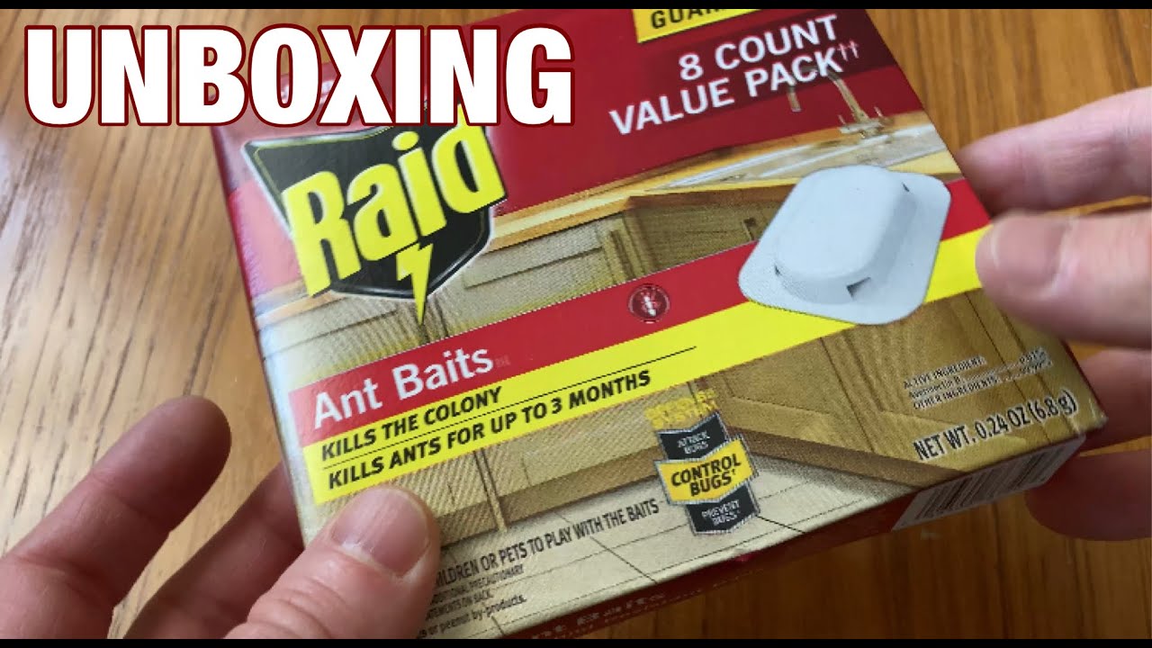Raid Ant Killer Baits