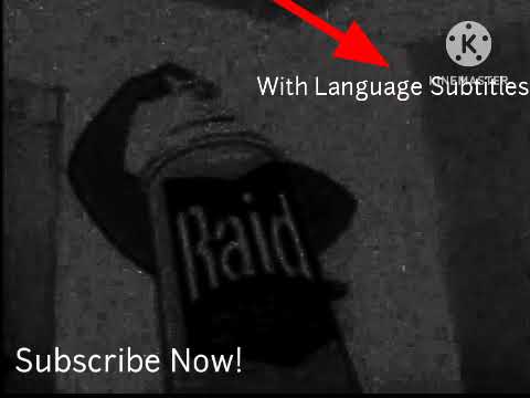 Raid Los Mata Bien Muertos (1950s/1960s)