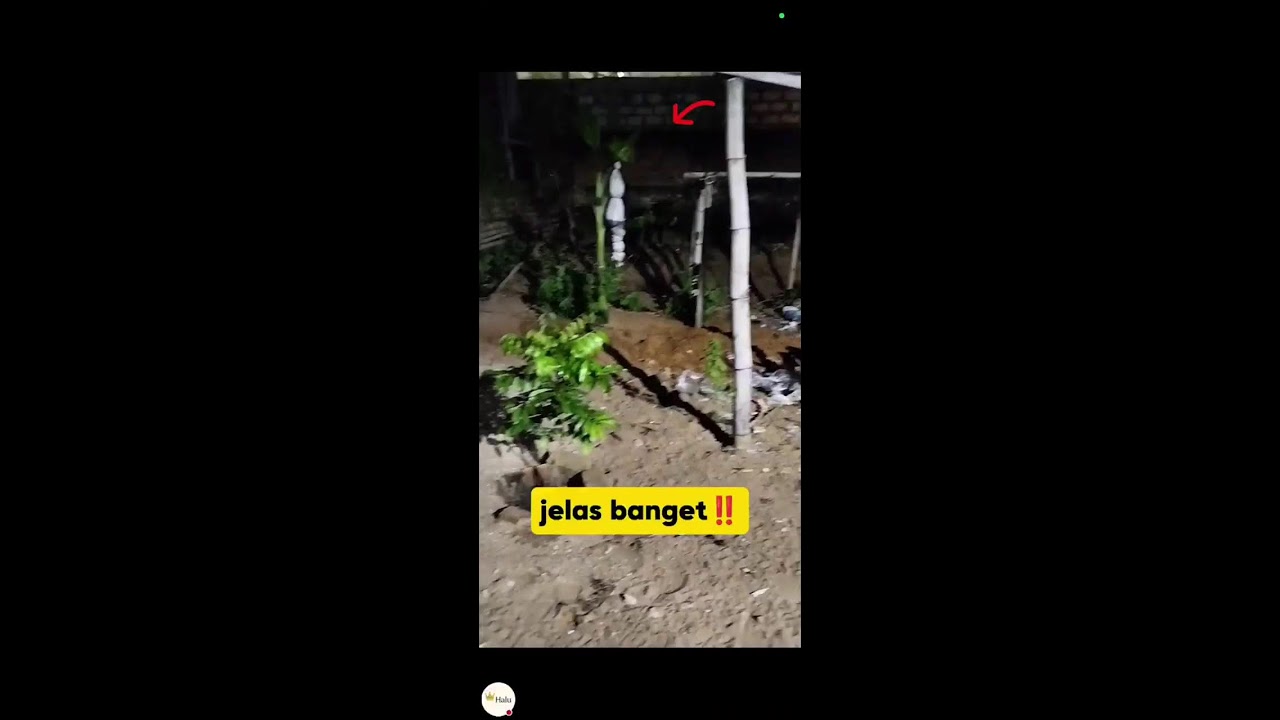 Raja Halu sedang live sekarang!