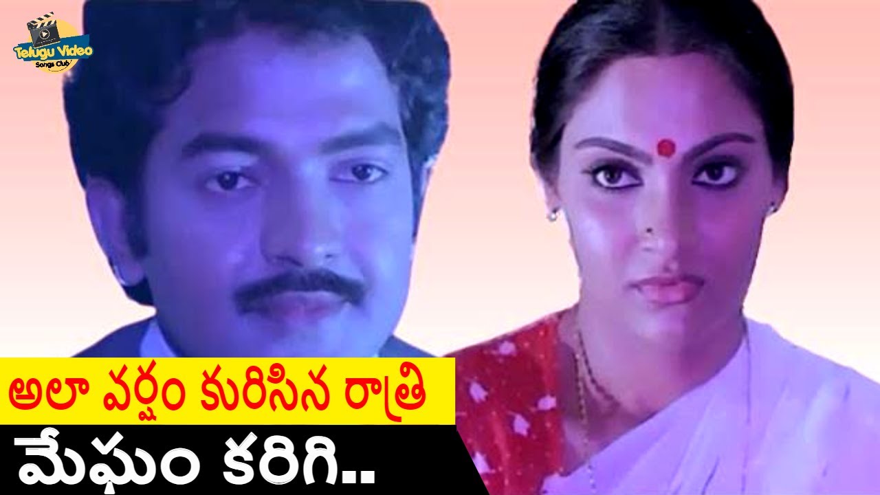 RAJASEKHAR AND MADHAVI BEAUTIFUL SONG | CITY ROWDY MOVIE #telugusongs #teluguvideosongs