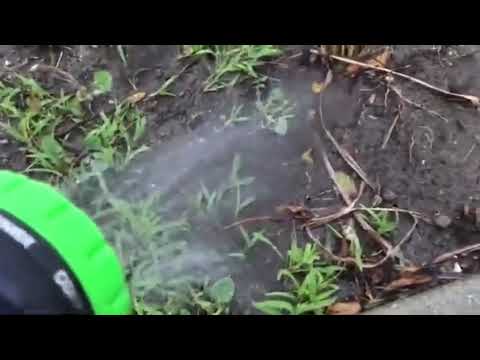 random hose farts