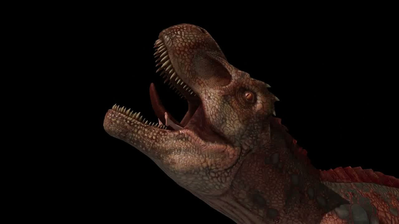Random Trex Swallow Animation