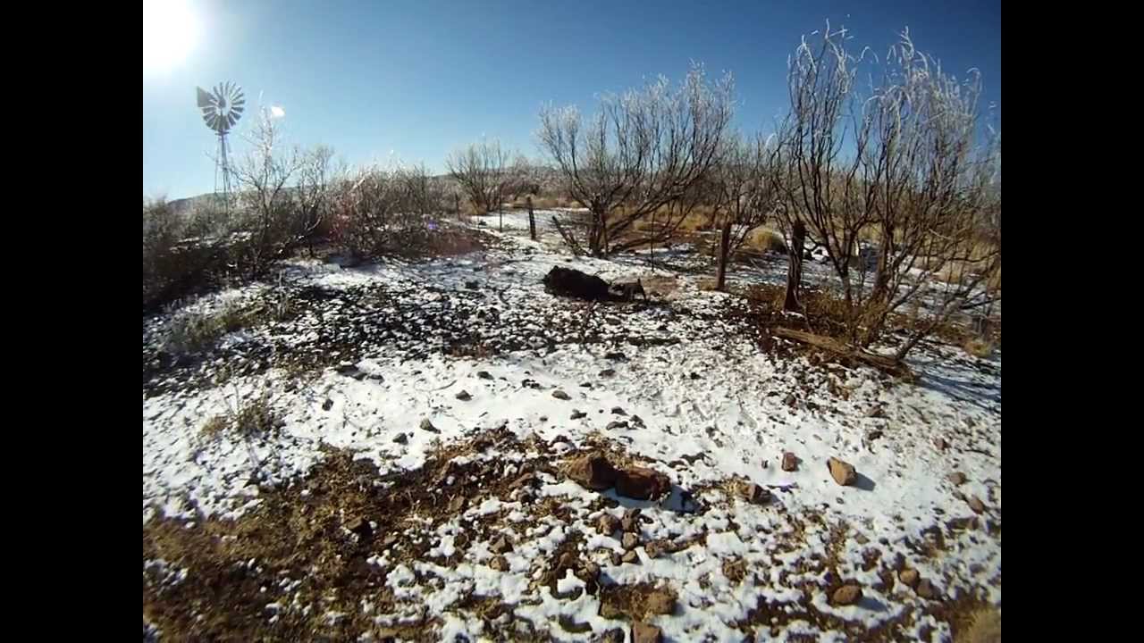 Ranger & his December 26, 2011 Hog Hunt