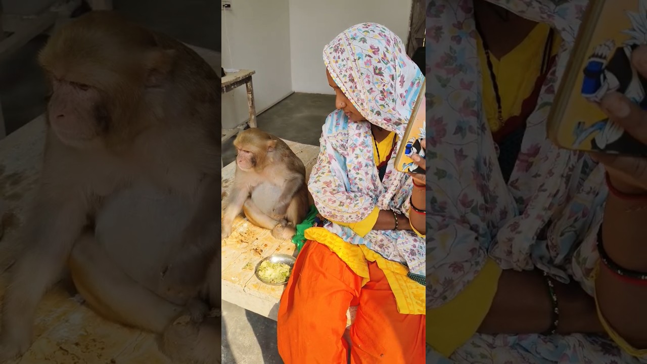 Rani bhabhi ka breakfast #youtubeshorts #shorts #akashrbl783