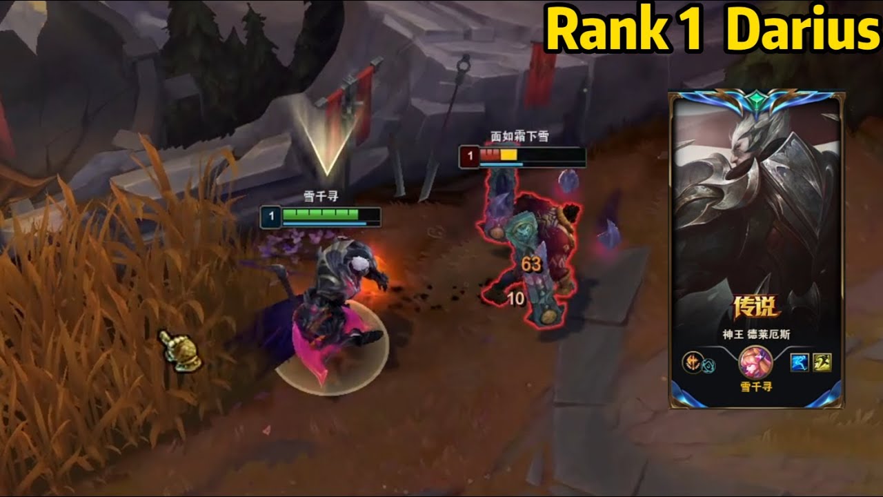 Rank 1 Darius: The Only Challenger Darius OTP in CN Server be Like...