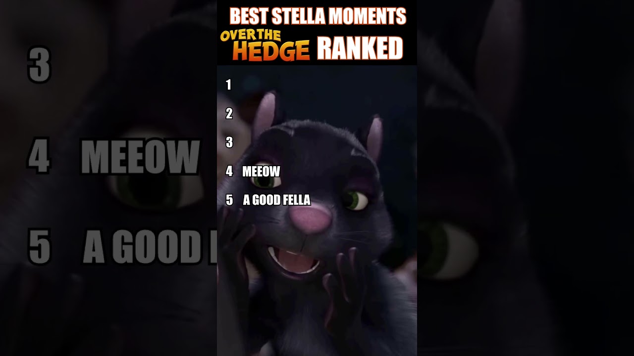 Ranking Best Over the Hedge Stella Moments #shorts #overthehedge #stellaskunk
