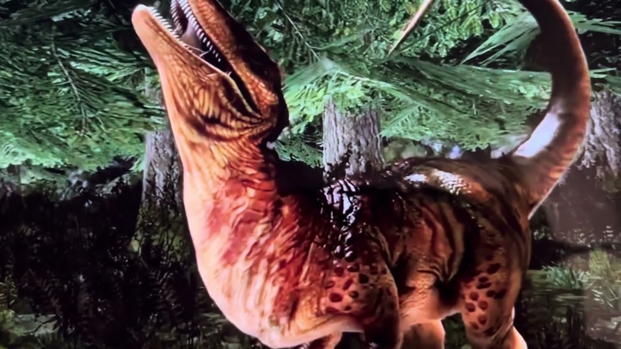 Raptor meal ￼￼