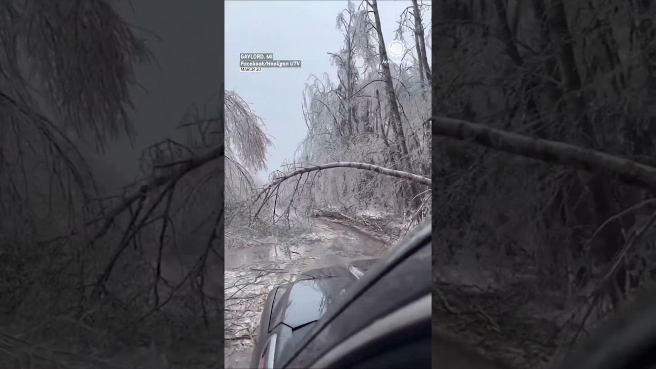 Rare March Michigan Ice Storm Knocks Out Power for 1 Million