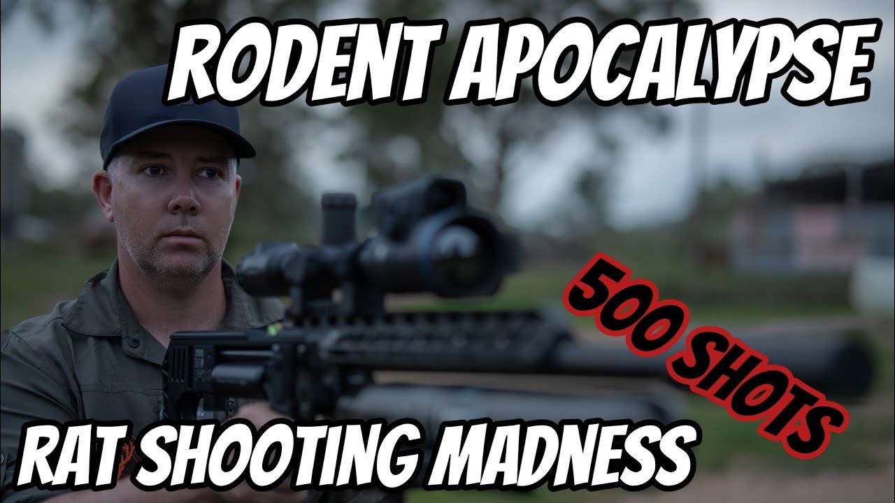 Rat Shooting Madness || Rodent Apocalypse || NEVER have I shot this many RATS in ONE night !!!