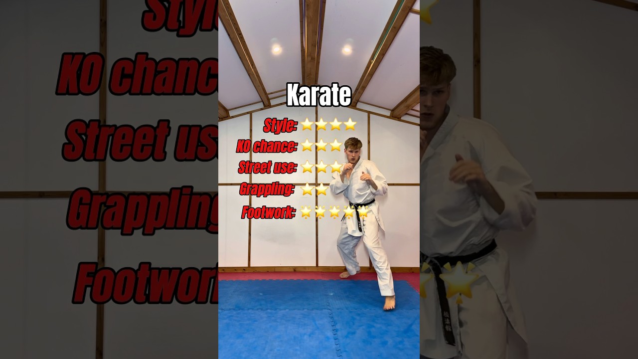 Rating each martial art…
