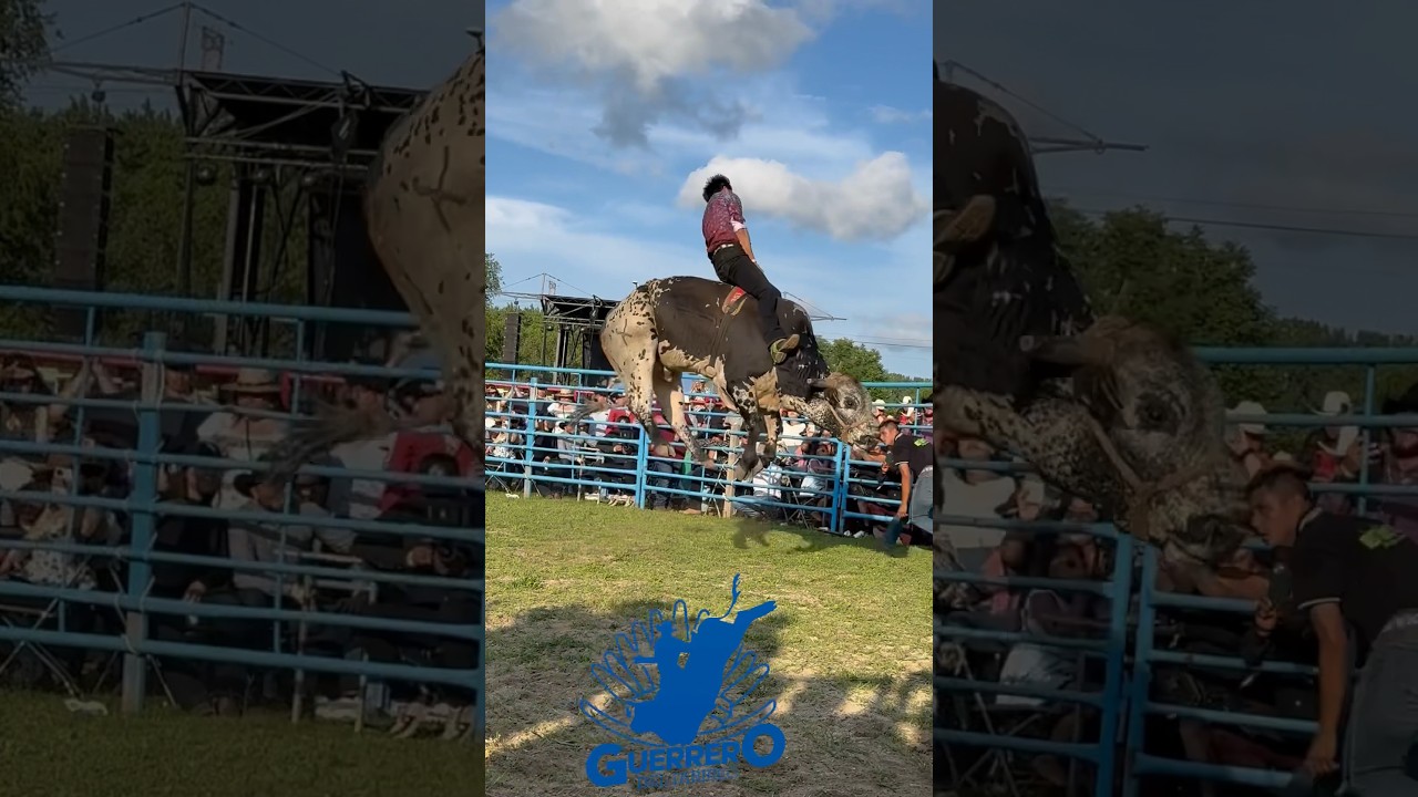 Rayito de la Tenencia vs. Amor Salvaje #toros  #jinetes