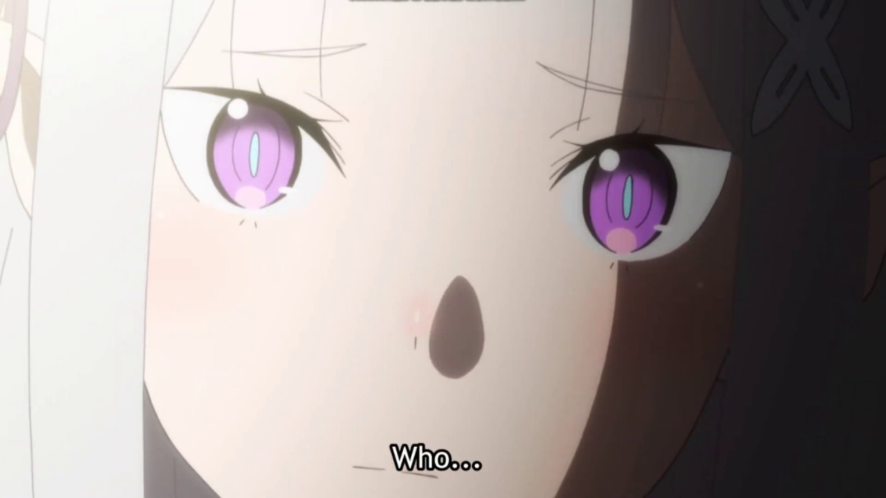 Re: zero - Who is Rem? editor cut anime