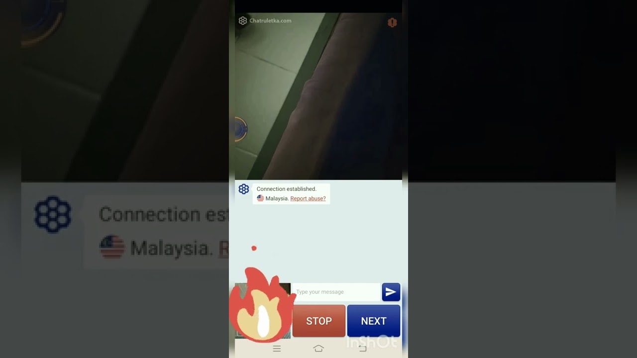 reaksi ular kasur