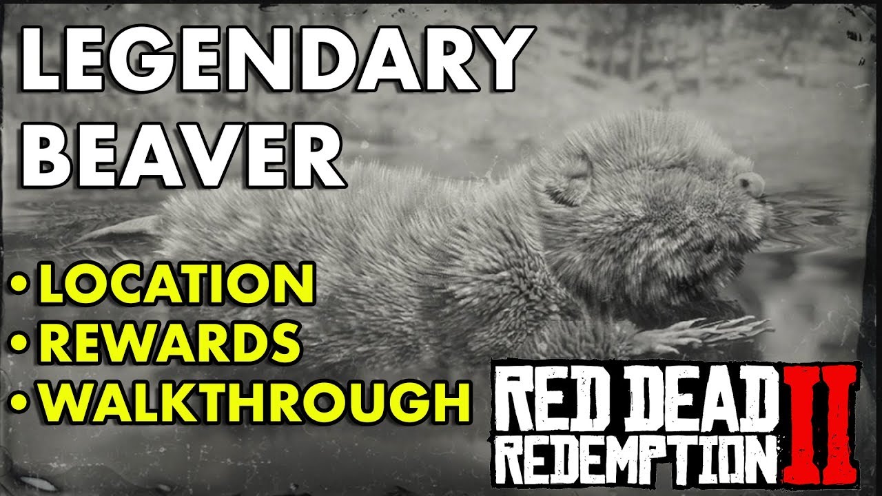 Red Dead Redemption 2 - Legendary Beaver (Location, Rewards, Walkthrough)